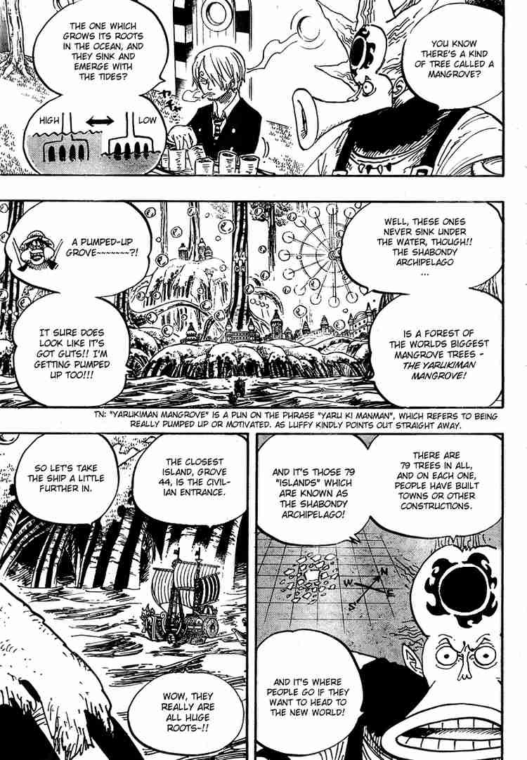 One Piece Chapter 496 14